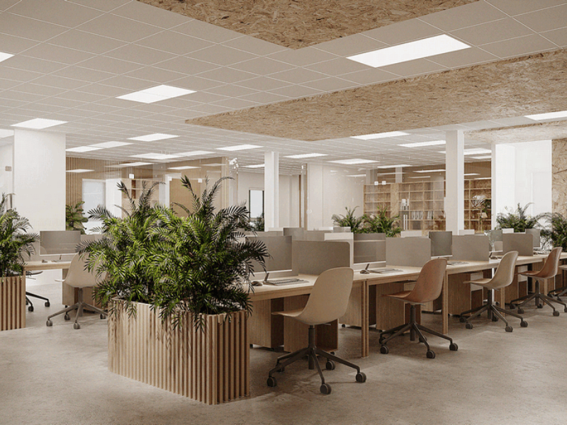 Thuê văn phòng làm việc không gian đẹp 